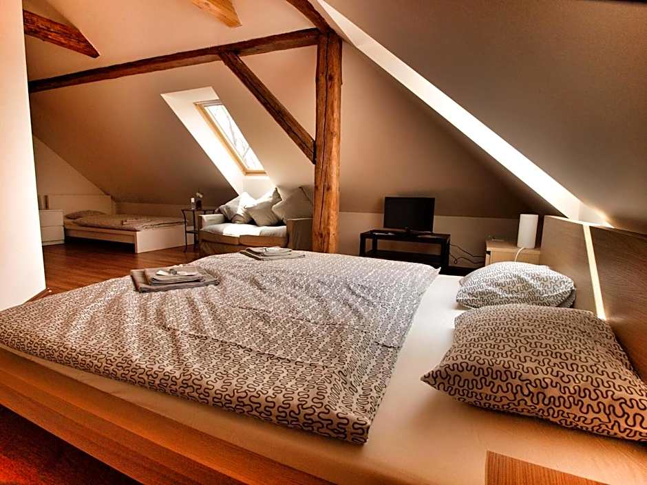 Hotel Pod Kokšínem