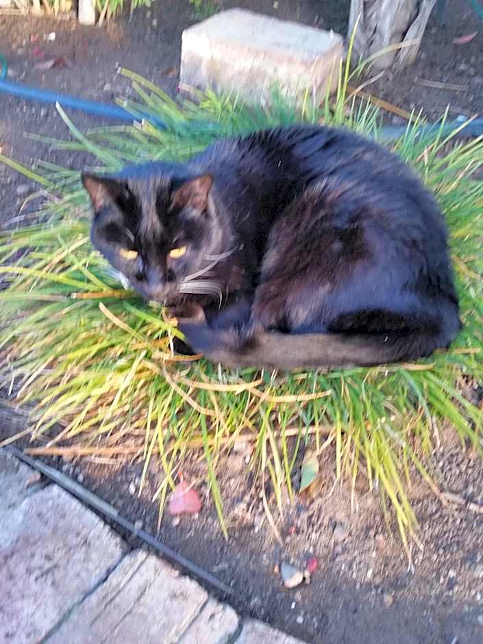 Earthbound Guest House