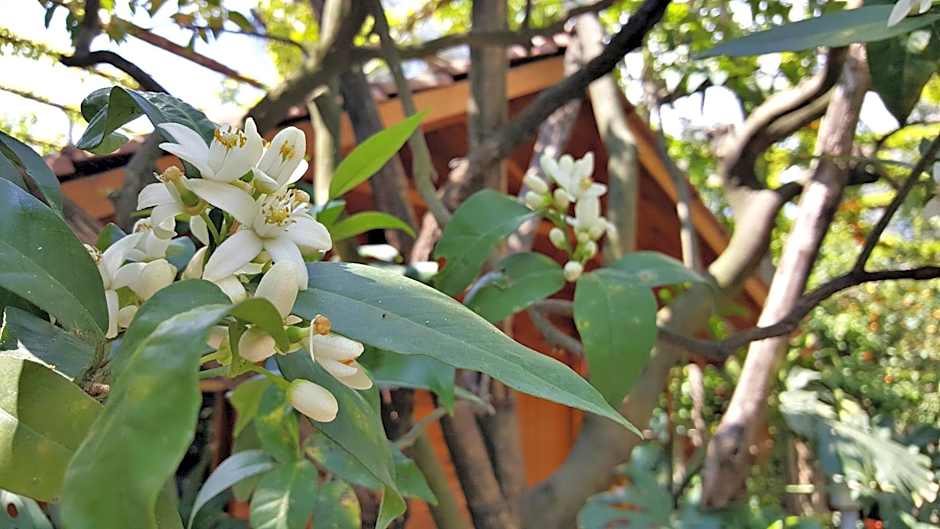 Residence Villaggio Verde