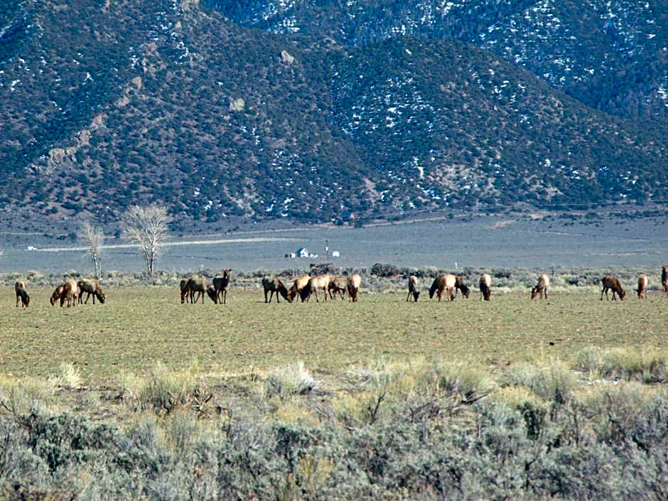Narrow Gauge Railroad Inn