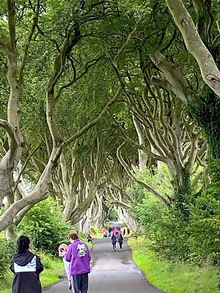 The Old Vicarage NI B&B