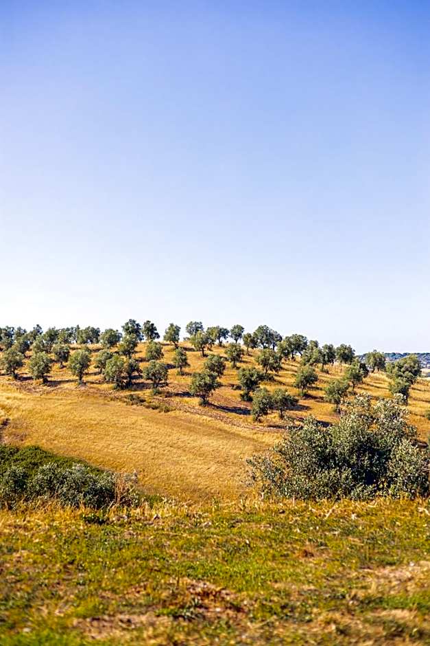 Sleep & Nature Hotel
