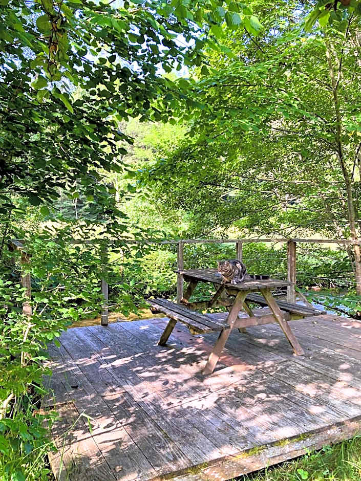 Maison Esmeralda Chambres D'Hotes et Gite