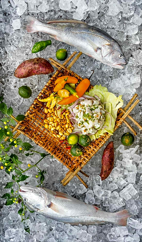 Decameron Decalodge Ticuna