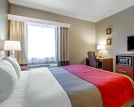 1 Bedroom Suite