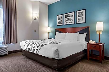 Standard King Room - Disability Access/Non-Smoking