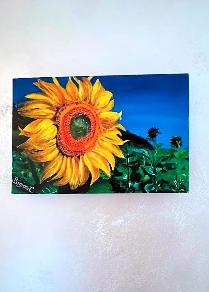 Bed&Breakfast degli ulivi