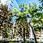 Apart Rooms City Centr