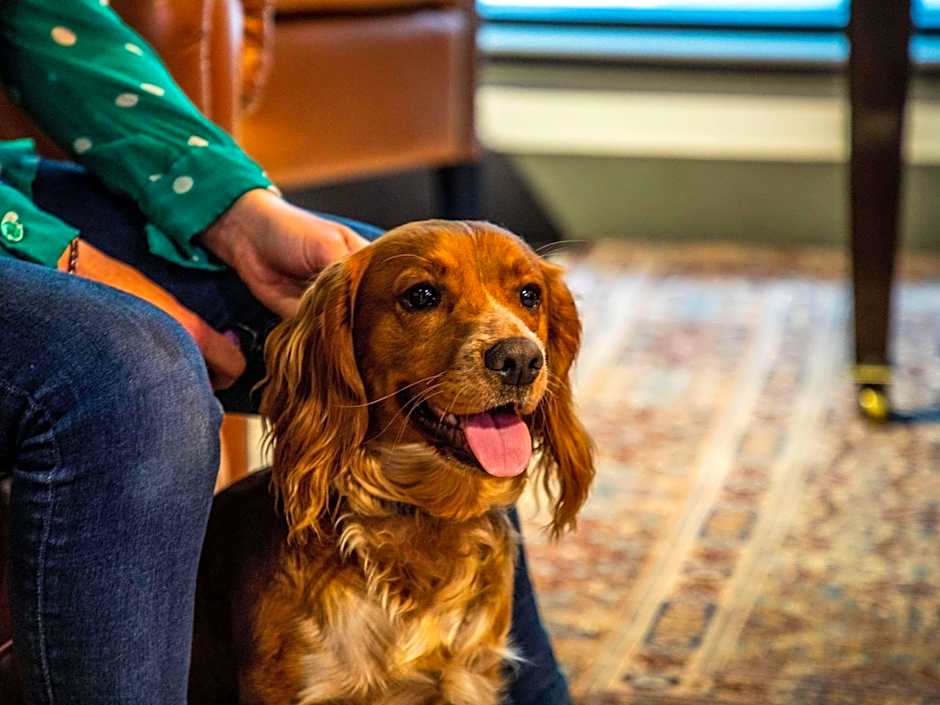 ibis Styles Glasgow Centre West