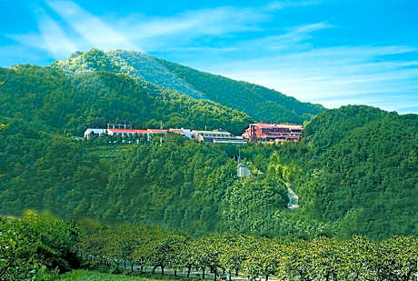 Chungju Suanbopark hotel