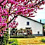 Casa Stella Country House