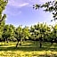 Villa Dunya
