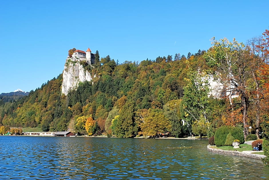 Apartmaji Rose in Winter