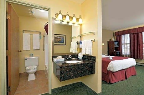 Suite-1 Queen Bed, Non-Smoking, Lake View, Sofabed, High Speed Internet Access, Microwave And Refrig