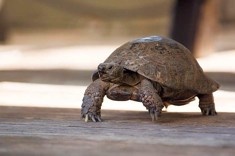 Hotel Residence Pernhof