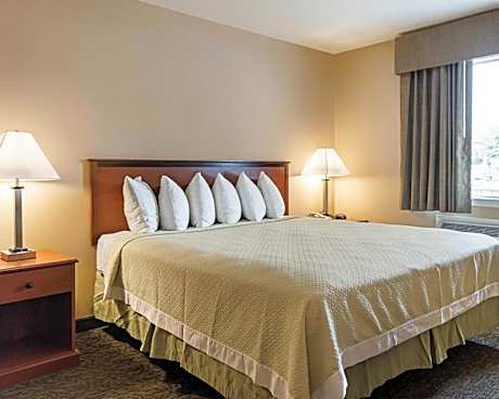 1 King Bed Nonsmoking