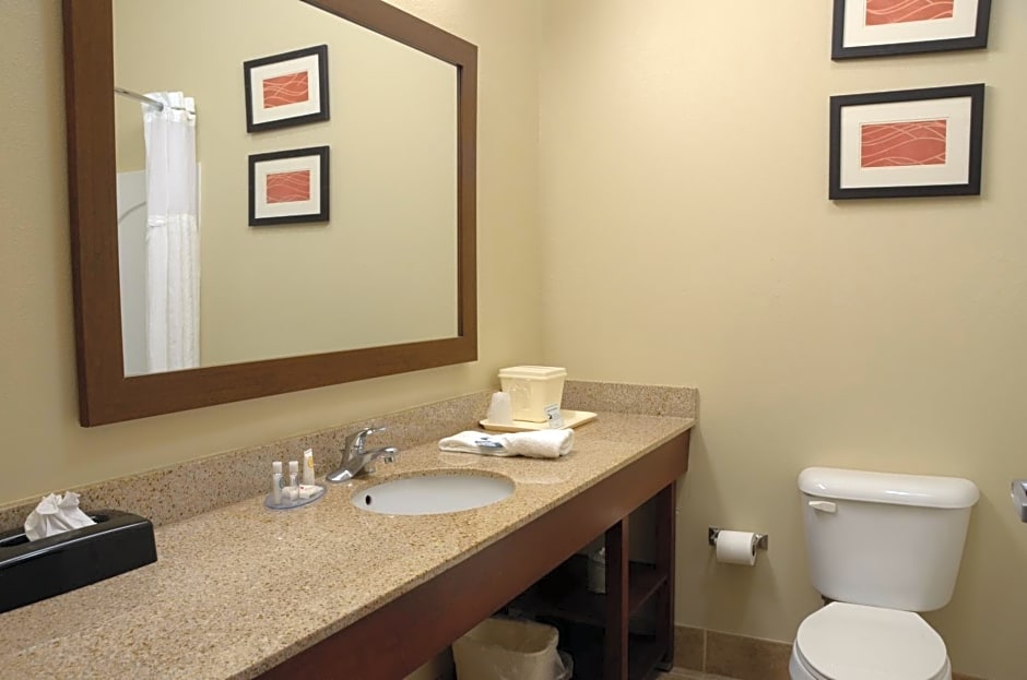 Comfort Inn & Suites Cave City