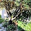 Villa Castillon