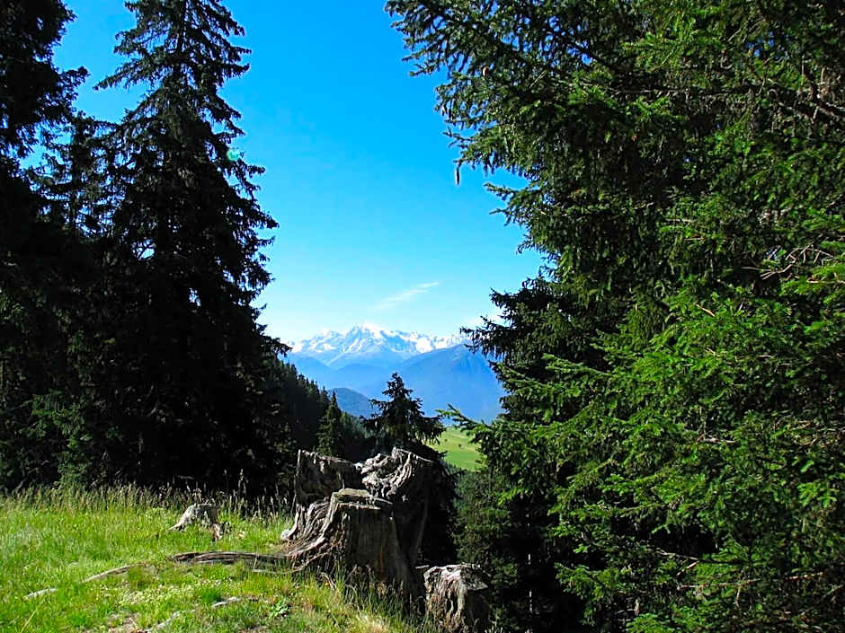 Appartement Sunnleitn