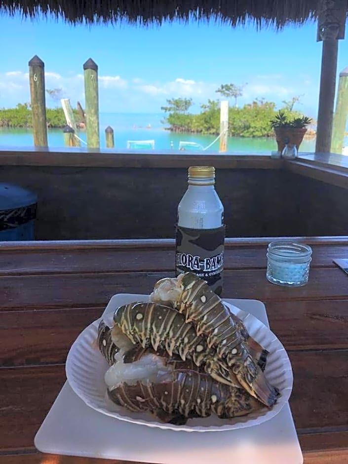 Conch Key Fishing Lodge & Marina