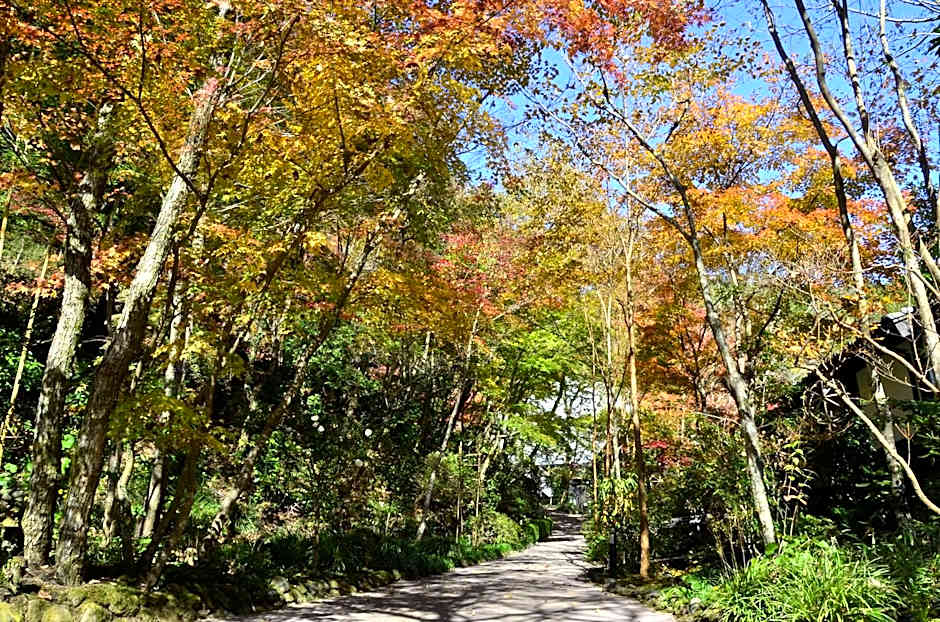 Kurokawa Onsen Oku no Yu