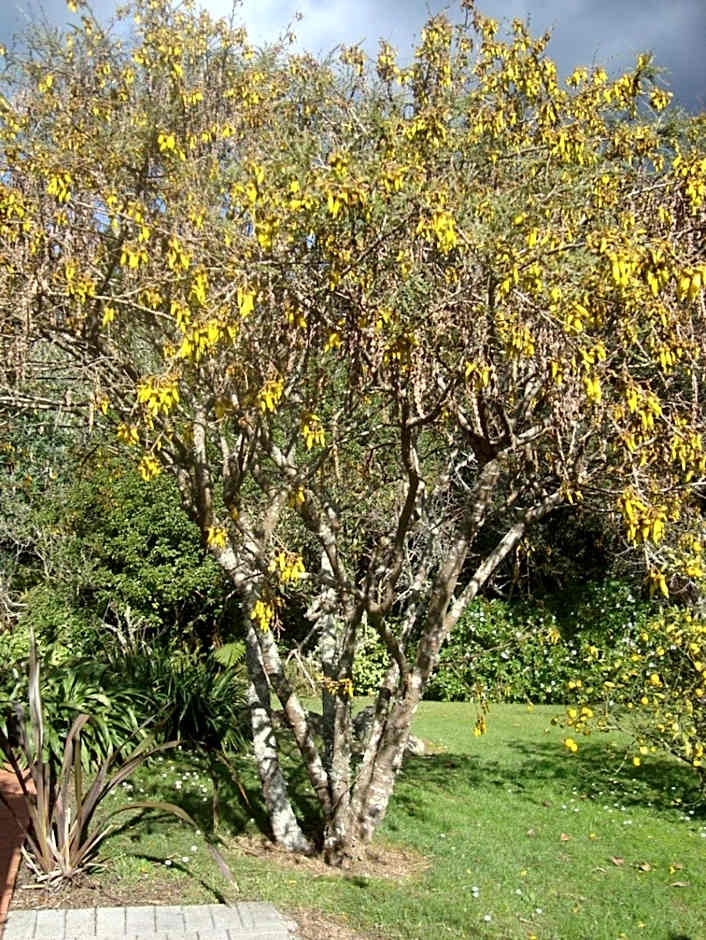 Warkworth Country House