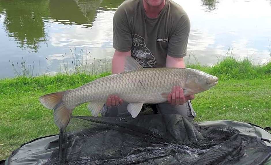 De Gouwe, 158 - aan visvijver, de beste visstek