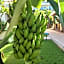 Hotel Posada Sian Kaan Playa del Carmen
