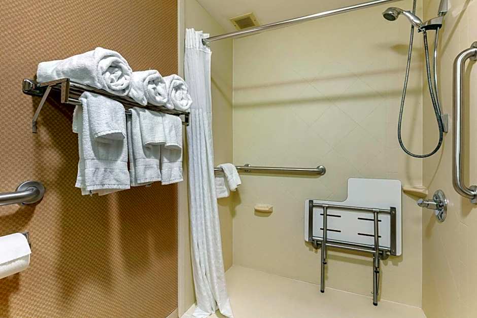 Comfort Inn Downtown Lookout Mountain Chattanooga