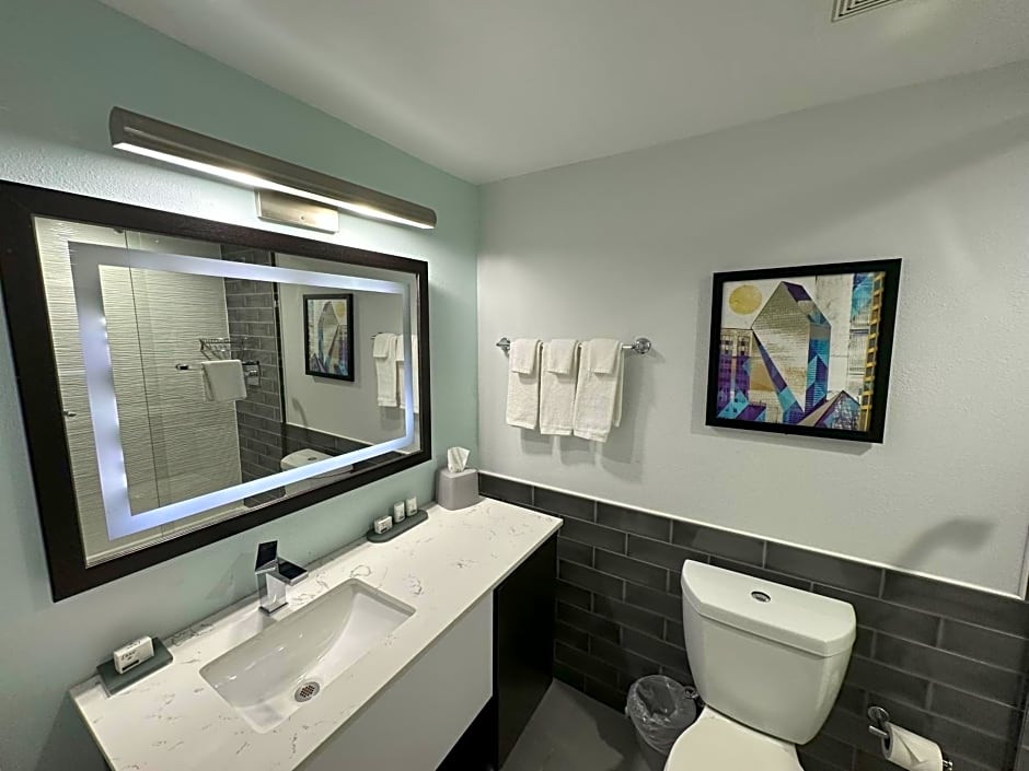 Holiday Inn Express - Dallas Downtown By IHG