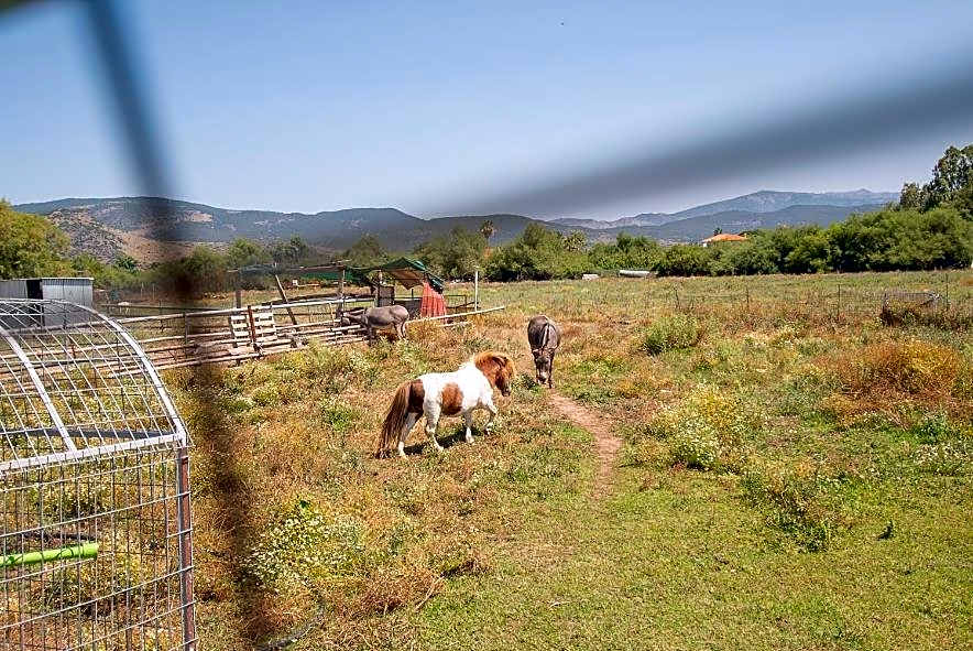 Malemi Organic Hotel