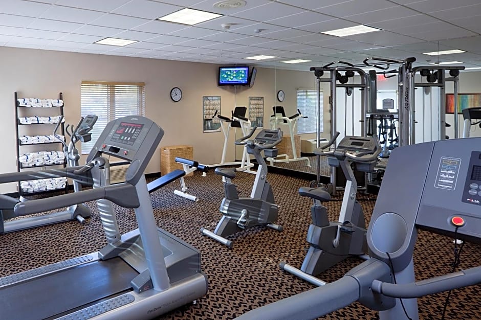 Holiday Inn Express Hotel & Suites Saginaw by IHG