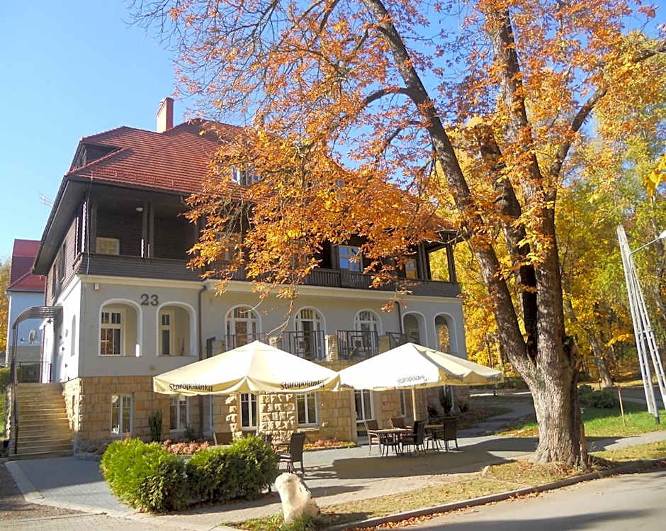 Villa Lessing