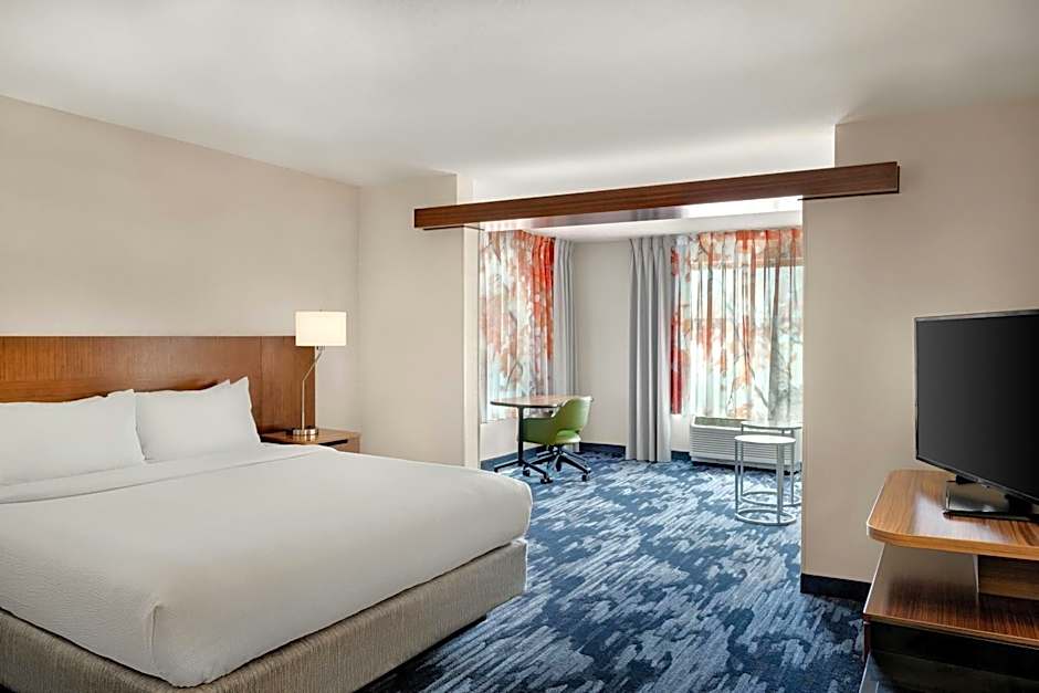 Photo 1 of 6 of 1 King Bed with Sofabed Suite, Mobility Accessible, Bathtub, View
