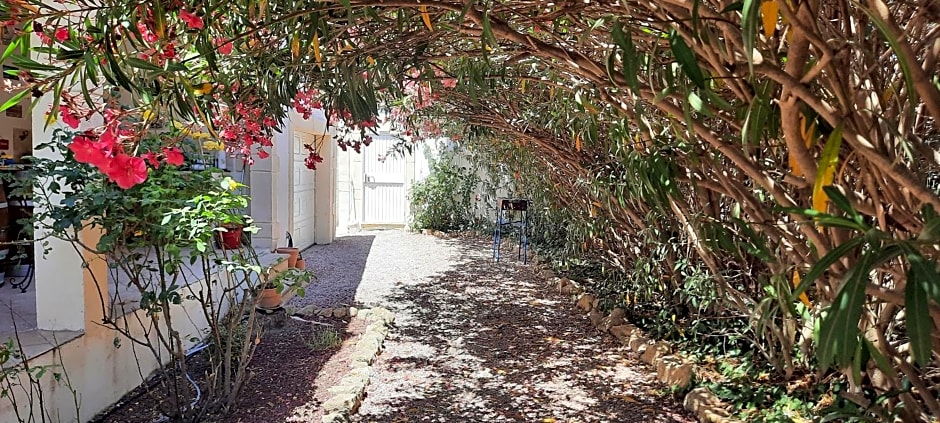 Fenêtre sur les Alpilles