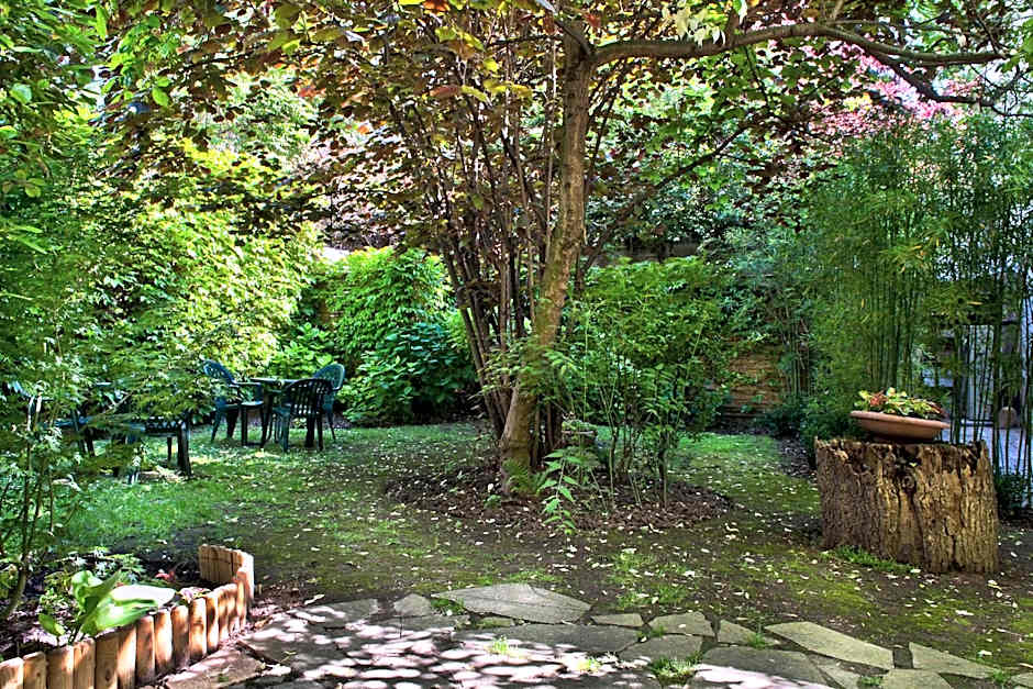 Abaca Messidor by Happyculture