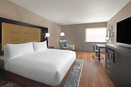 King Suite with Sofa Bed