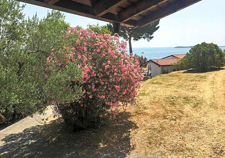 Sivinos Camping Boutique