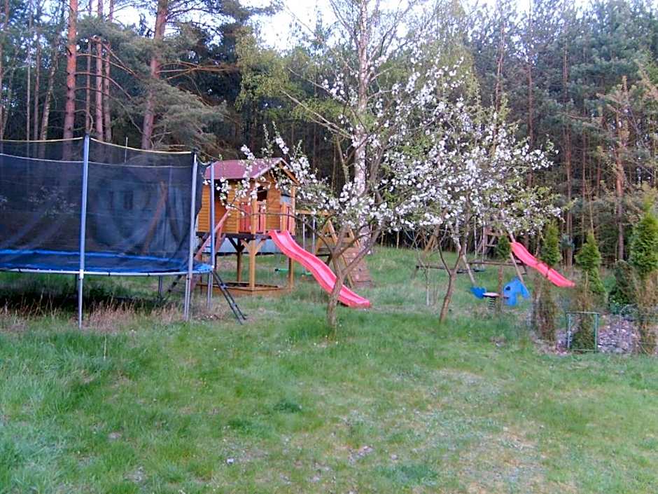 Pensjonat BorowaDolina