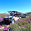 Bosch Luys Kloof Nature Reserve