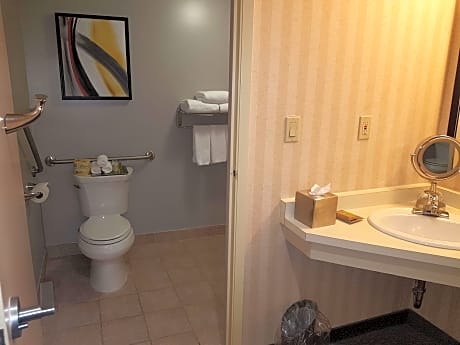 One-Bedroom Suite - Executive Floor