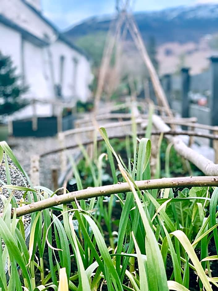 Wester Auchraw Croft B&B