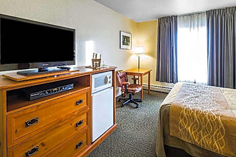 1 Queen Bed, Nonsmoking