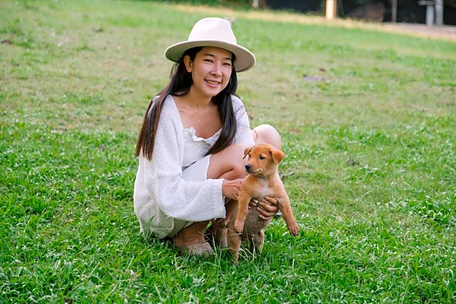 แคมป์ต๊ะต่อนยอน แม่กำปอง เชียงใหม่ CAMP Ta-Torn-Yorn Maekampong Chiang Mai