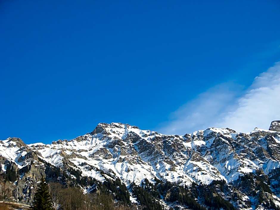 Swiss Lodge Hotel Bernerhof