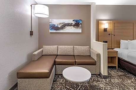 King Room with Sofa Bed - Non-Smoking