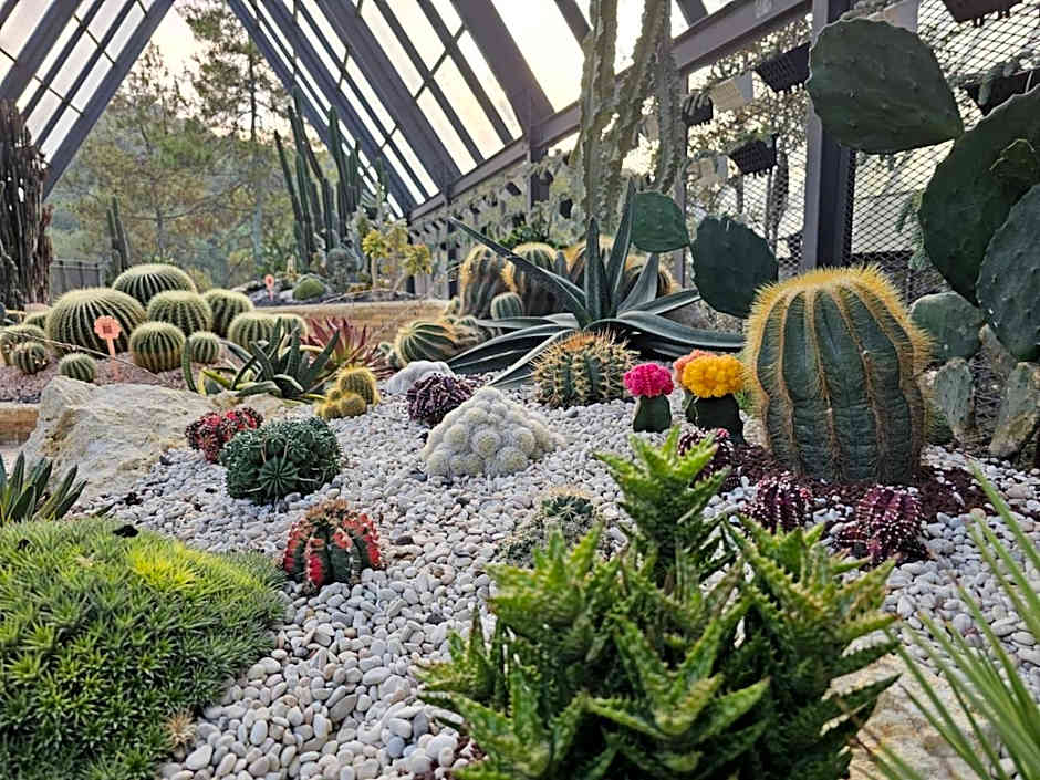 The Gaia Hotel Bandung