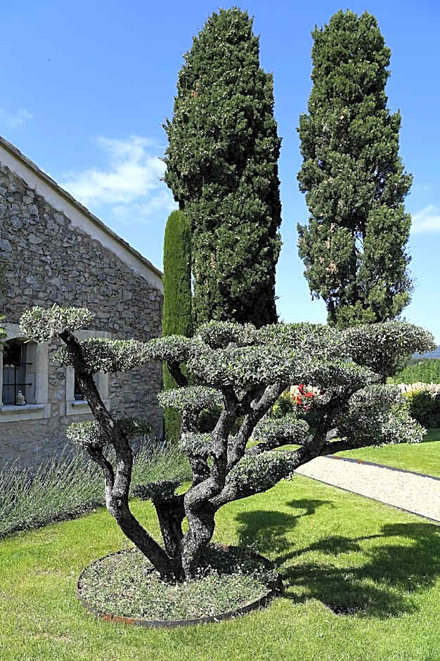 Bastide Des Demoiselles