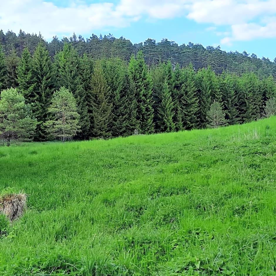 Hubertówka Czapiewice