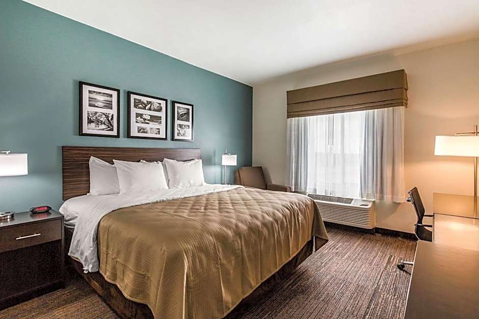 Photo 1 of 1 of 1 King Bed